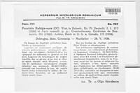 Puccinia recondita image